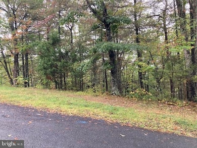 Section 11 Vickie Way, Basye, VA 22810 - photo 2