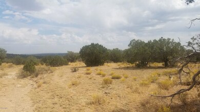 Lot 243 Blye Canyon -- unit 723, Peach Springs, AZ 86434 - photo 2