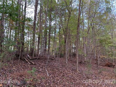 30 Granny Smith Ln unit 30, Lake Lure, NC 28746 - photo 6