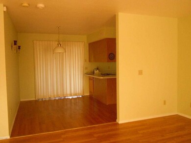 View fr Living Room