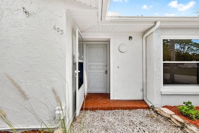 603 Shore Dr E, Oldsmar, FL 34677 - photo 6