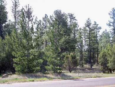 951 S Central Ave, Show Low, AZ 85901 - photo 2