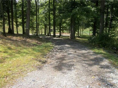 View. VIEW OF DRIVEWAY