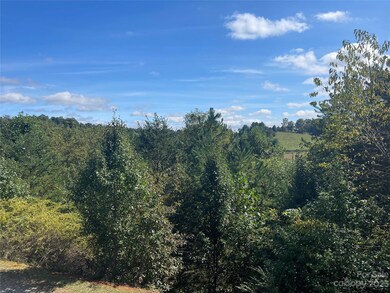 30 Haden Dr, Leicester, NC 28748 - photo 5