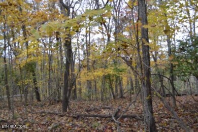 10.70ac Red Oak Ridge Rd, Celina, TN 38551 - photo 6