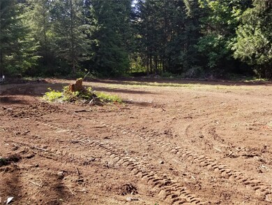 0 Mountain Loop Hwy unit NWM1970537, Granite Falls, WA 98252 - photo 5