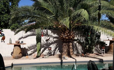 Your Backyard Oasis