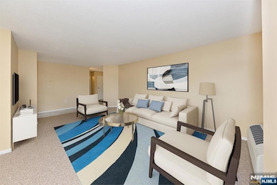 V-E-R-Y SPACIOUS LIVING ROOM; S-P-R-A-W-L