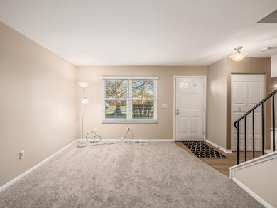 New carpet