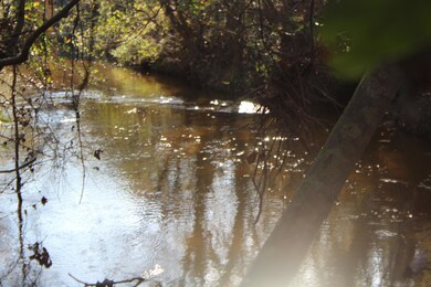 6.66 Agricola Latonia Rd, Lucedale, MS 39452 - photo 6