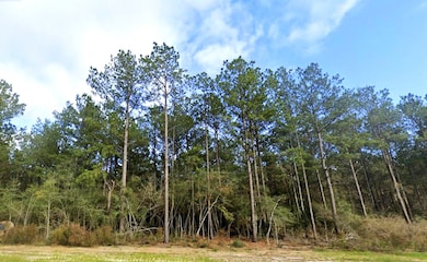 15588 Intrepid Ln, Willis, TX 77378 - photo 2