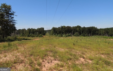 57+/- AC Victory Rd, Franklin, GA 30217 - photo 5