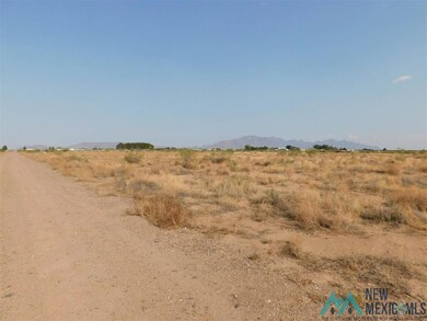 0 Earl Scott Trail SW unit 20213932, Deming, NM 88030 - photo 7