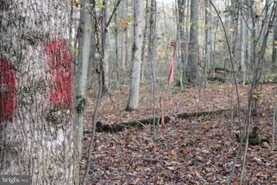 0 S Pines Rd, Lee, VA 20186 - photo 6