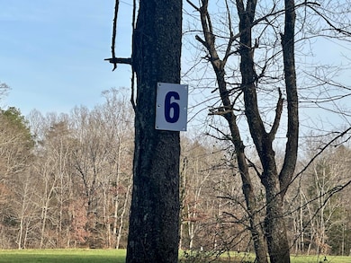 Lot 6 Hensley Rd, East Bernstadt, KY 40729 - photo 2