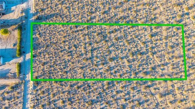 6667 Peterson Rd, Twentynine Palms, CA 92277 - photo 4