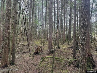 612 Council Dr, Wrangell, AK 99929 - photo 2