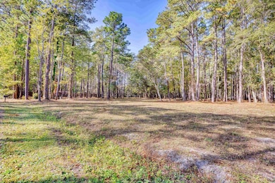 4250 Lilac Rd unit 4250 Lilac Road, Myrtle Beach, SC 29588 - photo 4