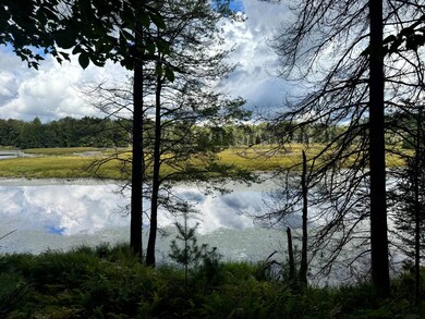 1.6 Farr Rd unit 6, Ohio, NY 13324 - photo 2