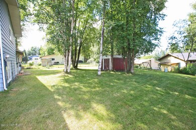 backyard 2