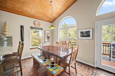 9845 Mesa Rd, Cascade, CO 80809 - photo 5