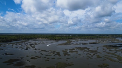 0 Simmons Bluff Rd unit 147462, Woodbine, GA 31569 - photo 3