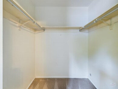 Spacious closet with carpet flooring