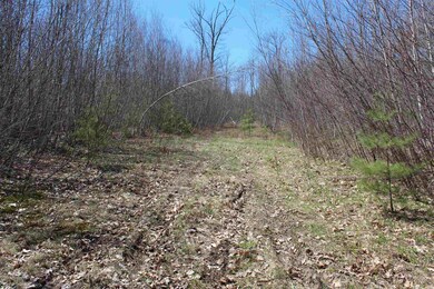 Lot 64 S Barnstead Rd unit 64, Barnstead, NH 03218 - photo 6