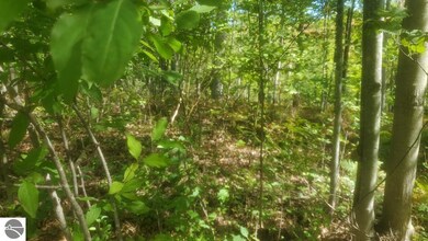 0 Fifth St unit 33, West Branch, MI 48661 - photo 5