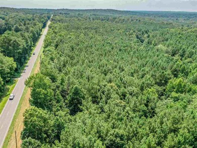 3095 N Carolina 87, Pittsboro, NC 27312 - photo 3