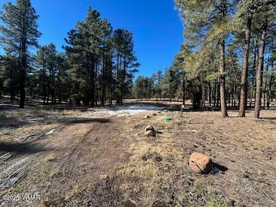 0 Cr N2121, Alpine, AZ 85920 - photo 7