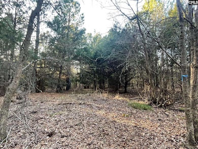 TRACT 2 S Carolina 219, Pomaria, SC 29126 - photo 6