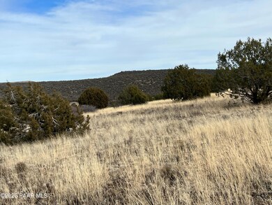 11975 W Dozer Ave, Ash Fork, AZ 86320 - photo 6