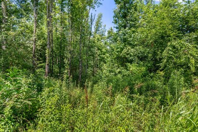 0 Fredonia Rd unit RTC2671348, Manchester, TN 37355 - photo 2