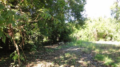 2430 Walcott Ln, Houston, TX 77088 - photo 5