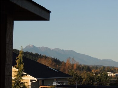 231 Morgison Loop, Sequim, WA 98382 - photo 6