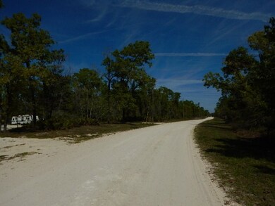 0 Post Oak Rd unit 774760, Perry, FL 32348 - photo 2