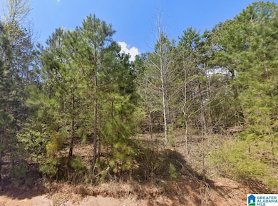 0 County Road 621 unit 21438044, Newell, AL 36280 - photo 5