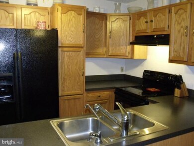 2205 Liberty Furnace Rd, Edinburg, VA 22824 - photo 6