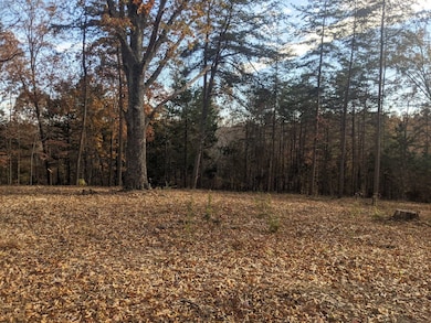 0 the Village of Dale Hollow unit 12, Burkesville, KY 42717 - photo 6