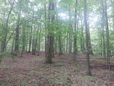 20160528_123755