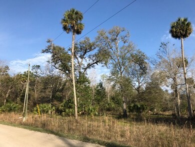 XXX River Plantation Rd, Crawfordville, FL 32327 - photo 4