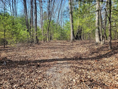Lot 8 - gravel drive