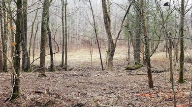 0 Sewell Branch Rd unit 2000839, Linden, TN 37096 - photo 4