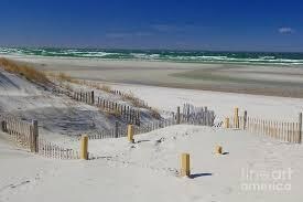 mayflower beach