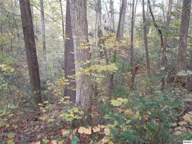 00 Holly Ln, Sevierville, TN 37876 - photo 7