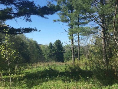 00 Ferno Rd, Williamstown, VT 05679 - photo 7