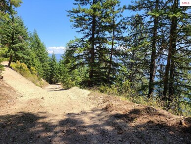 Water access road is started, needs to be finished