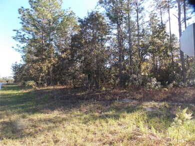 9432 N Cherry Lake Dr, Citrus Springs, FL 34433 - photo 3