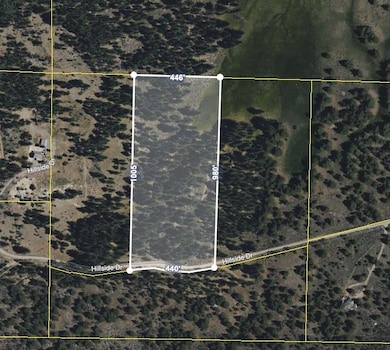 001 Sugarloaf Rd, Doyle, CA 95983 - photo 6